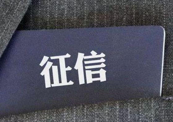 樸道征信：累計線上調(diào)用逾45億次，日調(diào)用峰值達3500萬次